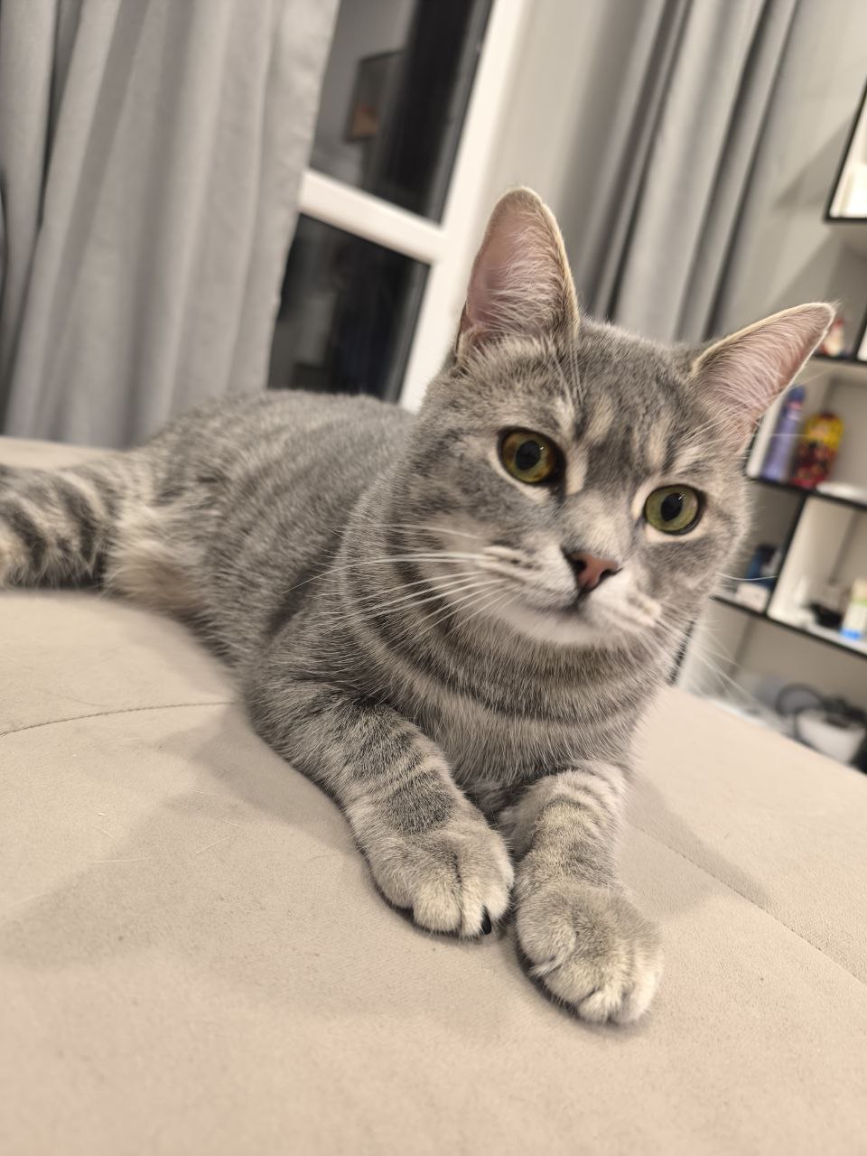 Доброе утро, Кубань!. Краснодар +17 °С