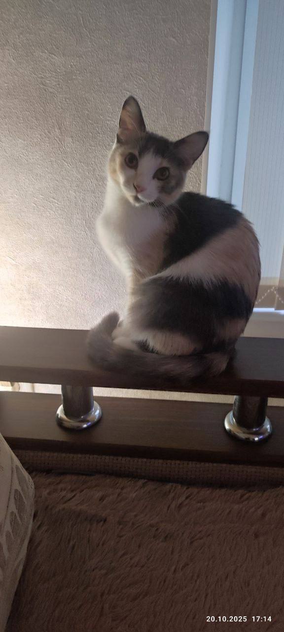 О погоде на 23 октября. В Краснодарском крае переменная облачность О погоде на 23 октября. В Краснодарском крае переменная облачность