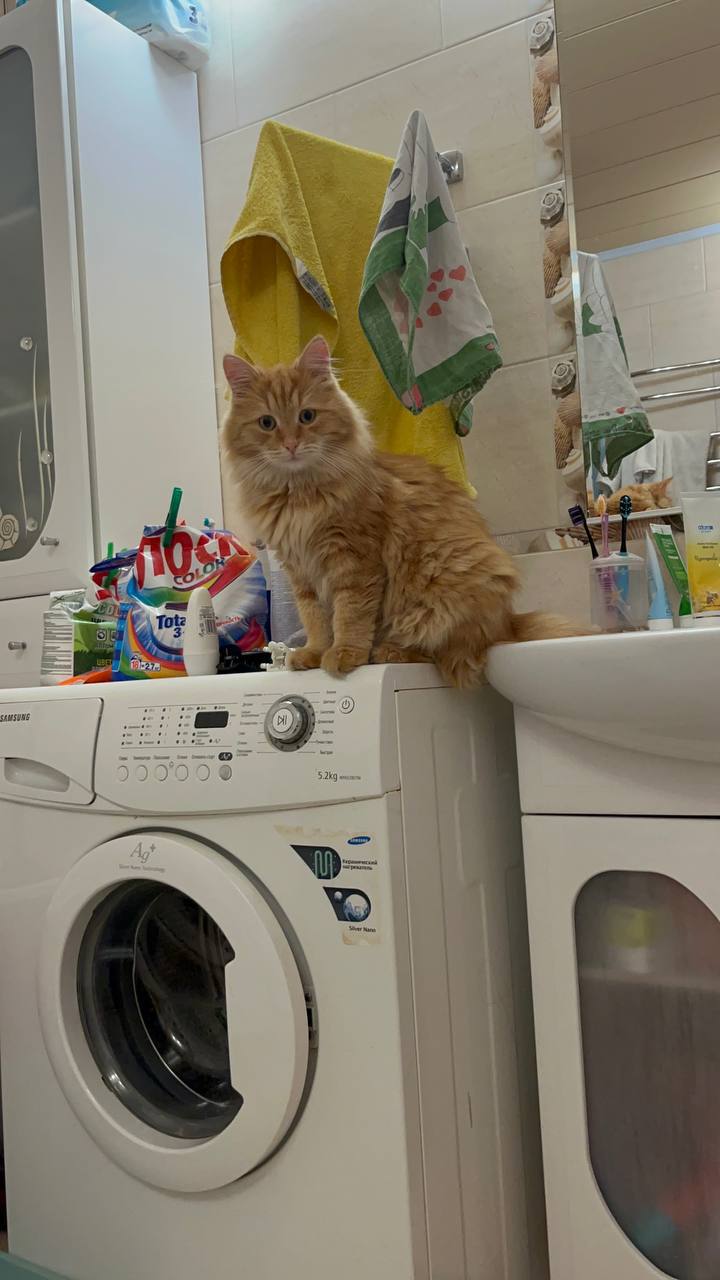 О погоде на 23 октября. В Краснодарском крае переменная облачность О погоде на 23 октября. В Краснодарском крае переменная облачность