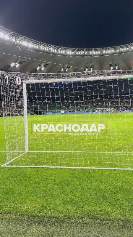 Болельщик выбежал на поле. Инцидент произошел на 35-й минуте матча «Краснодар»-«Сочи»