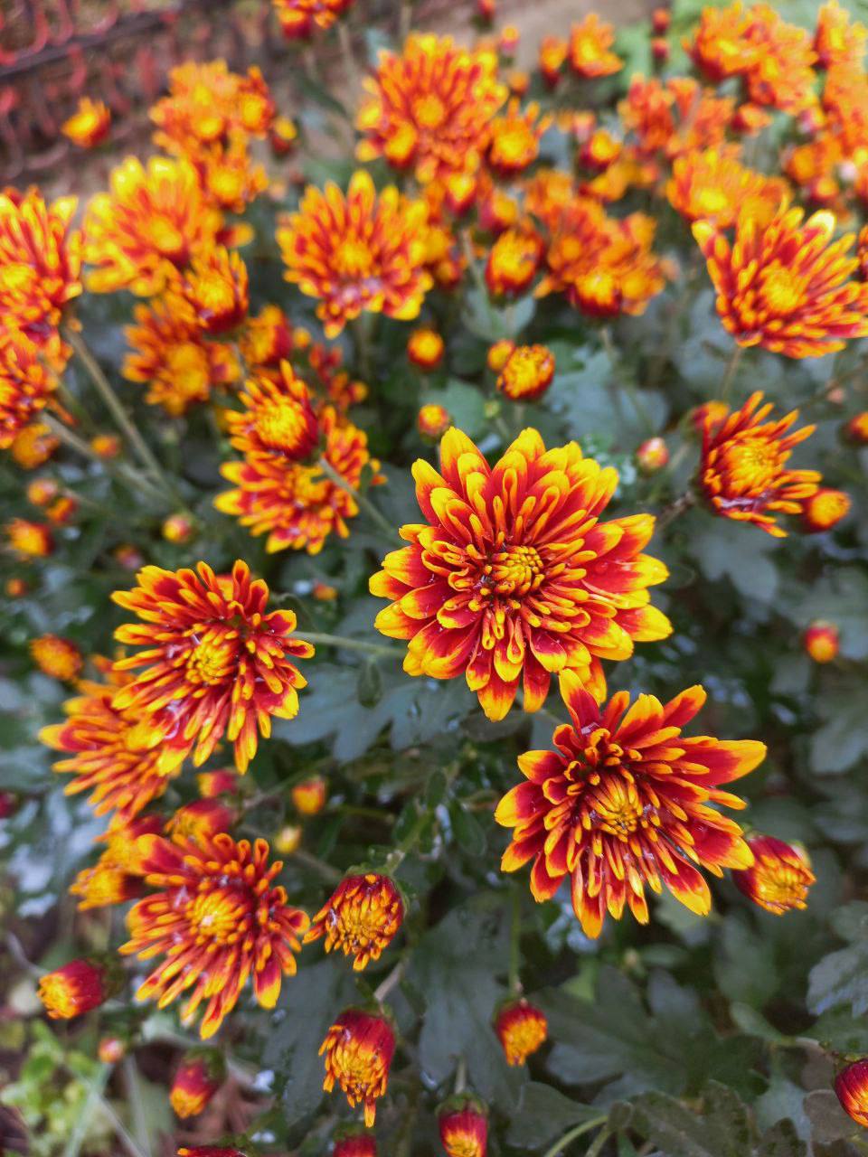 О погоде на 23 октября. В Краснодарском крае переменная облачность О погоде на 23 октября. В Краснодарском крае переменная облачность