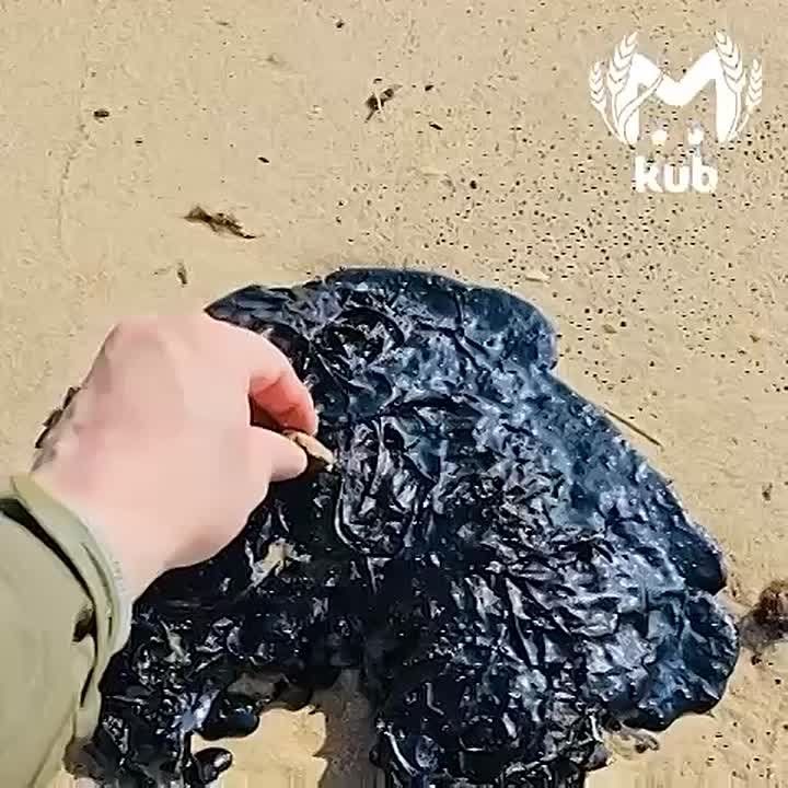 Девятьсот тонн мазута приближается к побережью Темрюка и Тамани