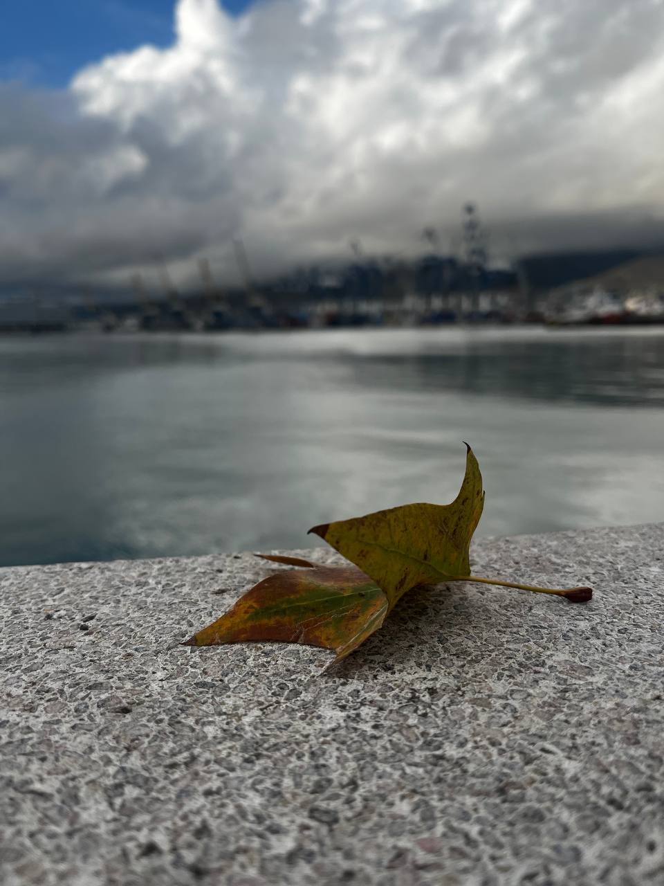 О погоде на 23 октября. В Краснодарском крае переменная облачность О погоде на 23 октября. В Краснодарском крае переменная облачность