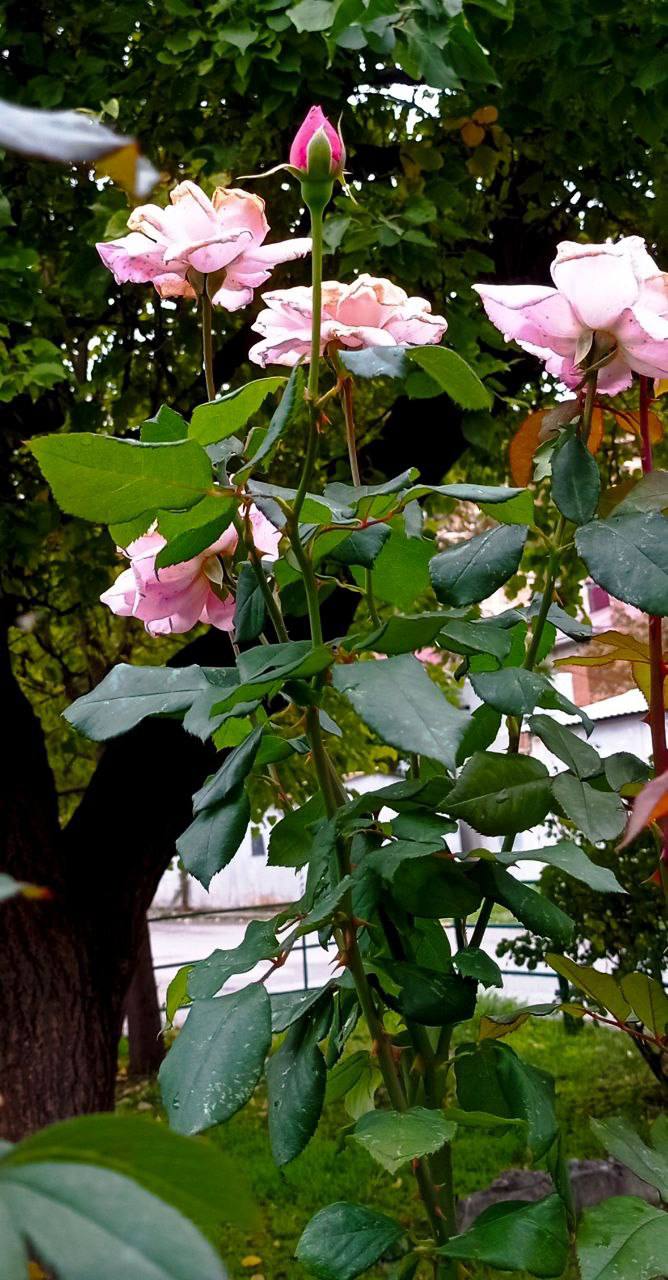 О погоде на 23 октября. В Краснодарском крае переменная облачность О погоде на 23 октября. В Краснодарском крае переменная облачность