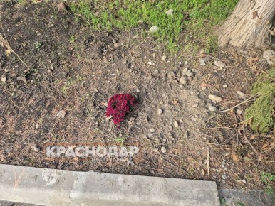 Продолжаем рубрику «Краснокадр»
