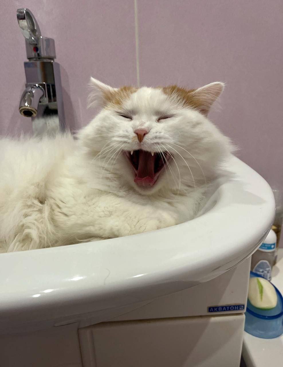 О погоде на 23 октября. В Краснодарском крае переменная облачность О погоде на 23 октября. В Краснодарском крае переменная облачность