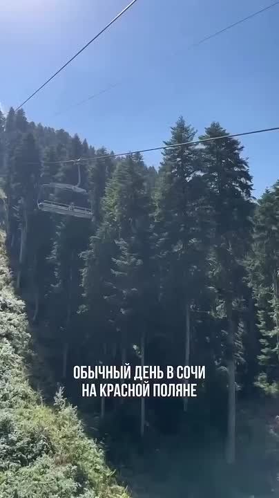 Четырехлапая исследовательница гор