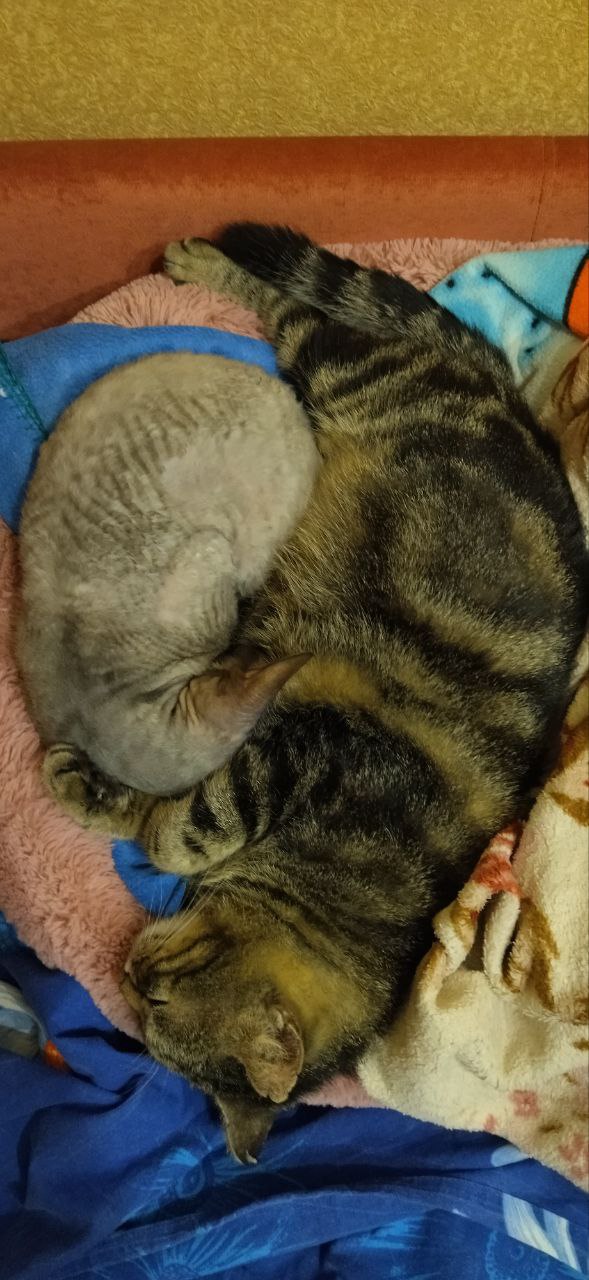 Доброе утро, Кубань!. Краснодар +17 °С Доброе утро, Кубань!. Краснодар +17 °С