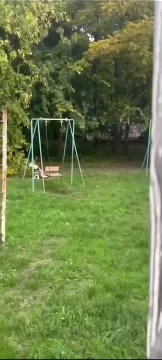 Стая собак напала на женщину с ребёнком