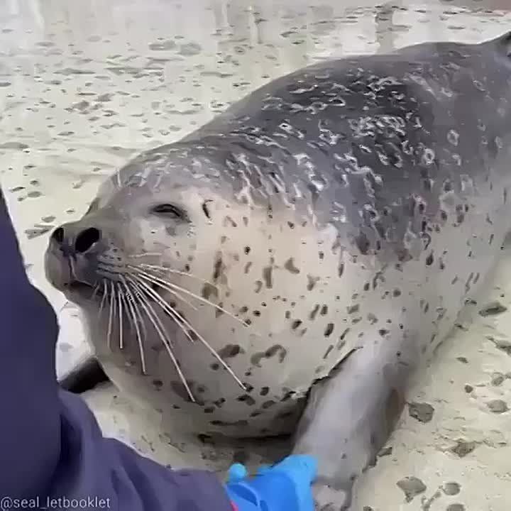 Проснулись и поняли – пятница ведь!