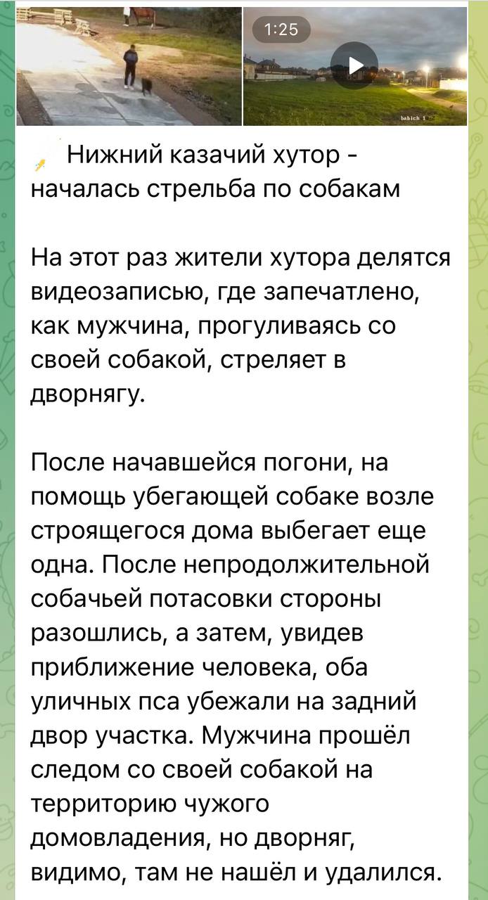 На основании выявленной в сети Интернет публикации полицией города Краснодар инициировано проведение проверки