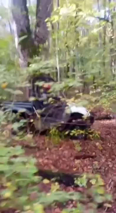 Питались шиповником и пили воду из ерика: пропавшие в лесу в Северском районе супруги рассказали, как им удалось выжить