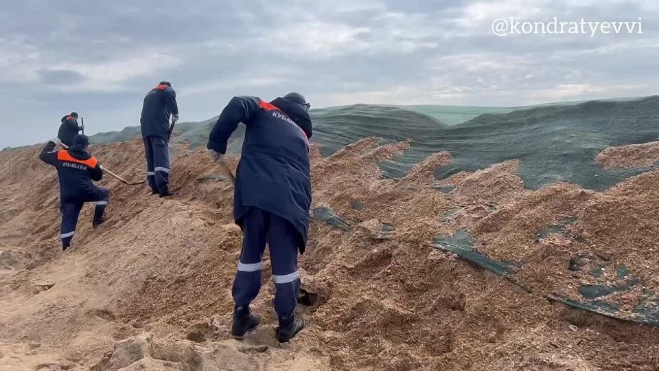 Мелкие фракции мазута обнаружены у берегов станицы Благовещенской