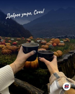 Доброе утро, Сочи!. Пусть этот день будет таким же солнечным и ярким, как наш курорт после дождя - когда воздух свежий, море блестит, а горы кажутся совсем близко