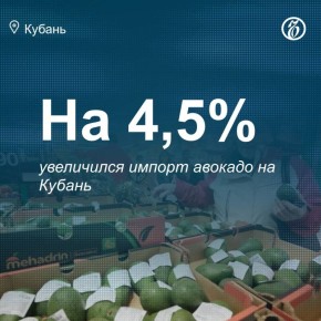        2025    4,5%