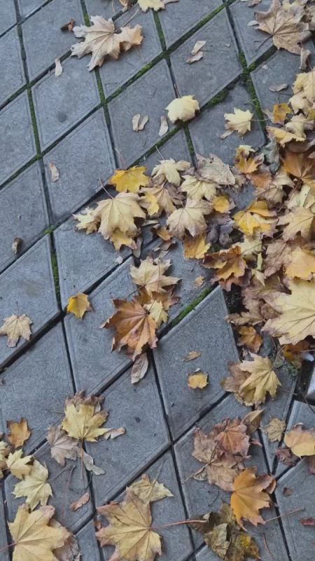 Сегодня будет тёплый день. Ранним октябрьским утром есть небольшие облака на небе