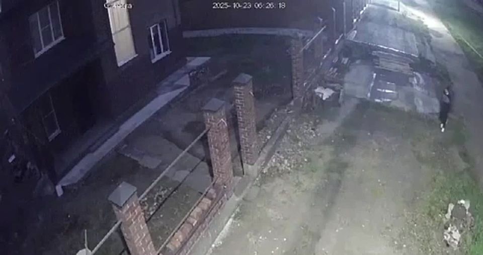 Возомнил себя гангстером. Мужчина, стреляющий по бездомным псам, напугал краснодарцев