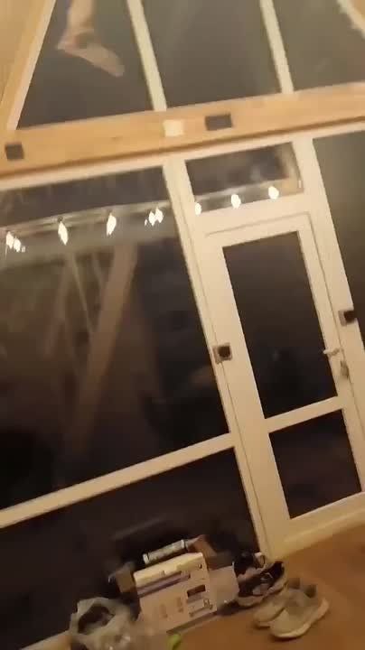 Летучая мышь влетела не в то окно