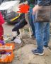 Стая бездомных собак напала на мальчика в Краснодаре