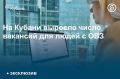 В Краснодарском крае за январь–сентябрь 2025 года было размещено более 12,3 тыс