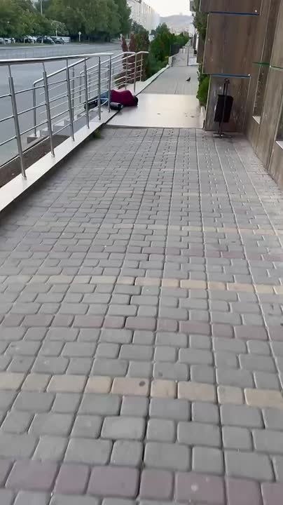 Утро начинается не с кофе. В Анапе местная жительница вышла на утреннюю прогулку