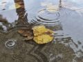 Последнее воскресенье октября будет штормить