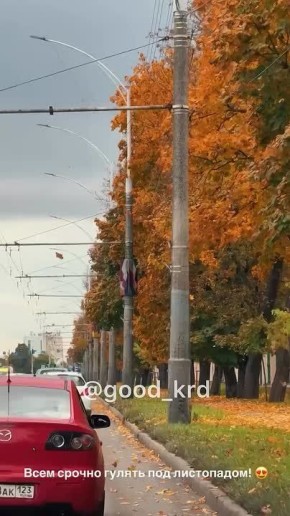 Время листопадов в Краснодаре