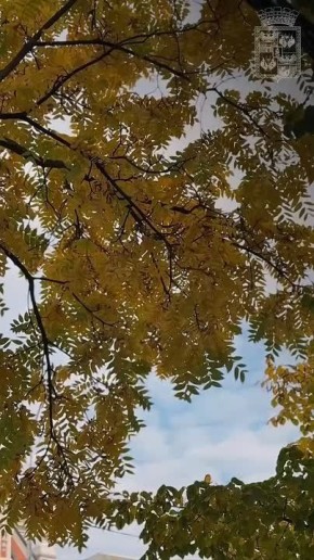 За что вы любите краснодарскую осень?