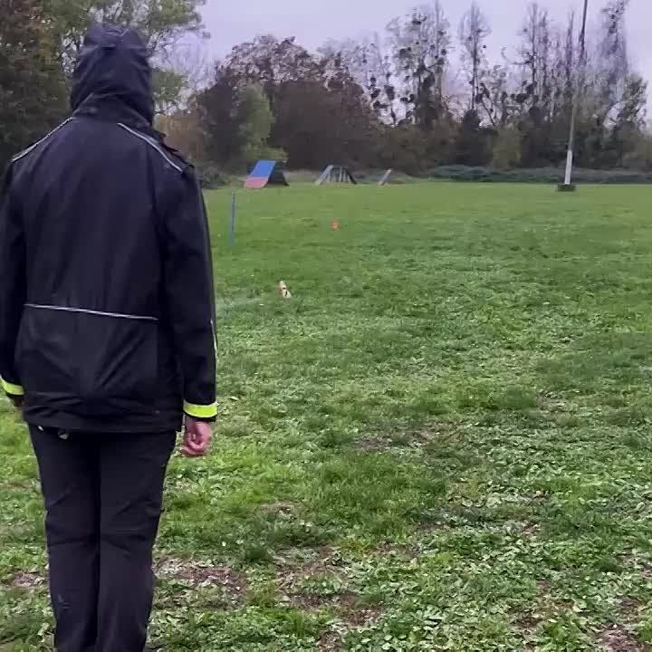  .               ,  ,  ,        , ...