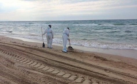 Новороссийцы помогают спасать пляжи города-курорта Анапа от мазута