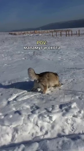 Зато ему, кажется, весело