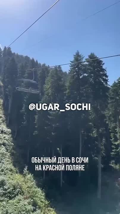 ГАВдиозно. На Красной Поляне всегда хорошо: и зимой, и летом