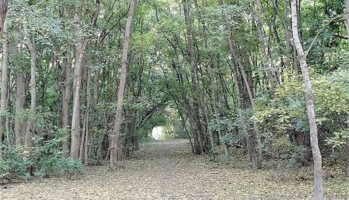 Информация о качестве атмосферного воздуха в городе Новороссийске за период наблюдений 24 – 25 октября