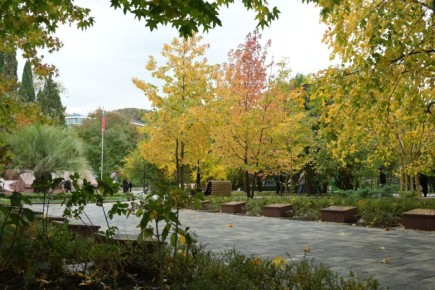 Доброе осеннее утро, дорогие подписчики!