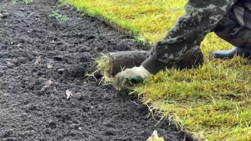 Озеленение двух скверов продолжается в Краснодаре