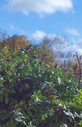 Доброе утро! На календаре 28 октября, вторник