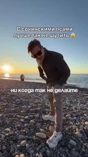 Кинологический ликбез (или почему Сашке крупно повезло)