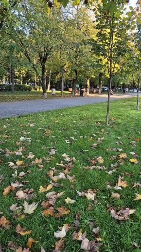 Днём будет небольшой дождь
