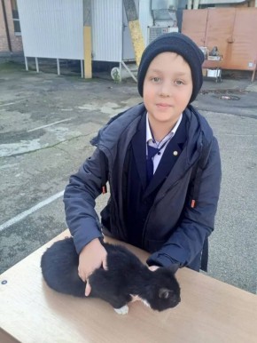 Самый милый урок в школе. В гимназии № 88 провели необычное занятие