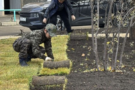 В Краснодаре началось озеленение двух территорий, которые выбраны жителями для благоустройства