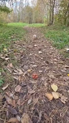Пора делать запасы на зиму