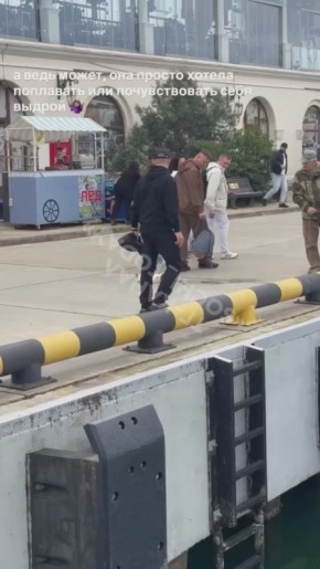 И поплавала, и полетала. Сочинские морские просторы покорила не яхта, а самая настоящая кошка! Как она оказалась среди судов – загадка