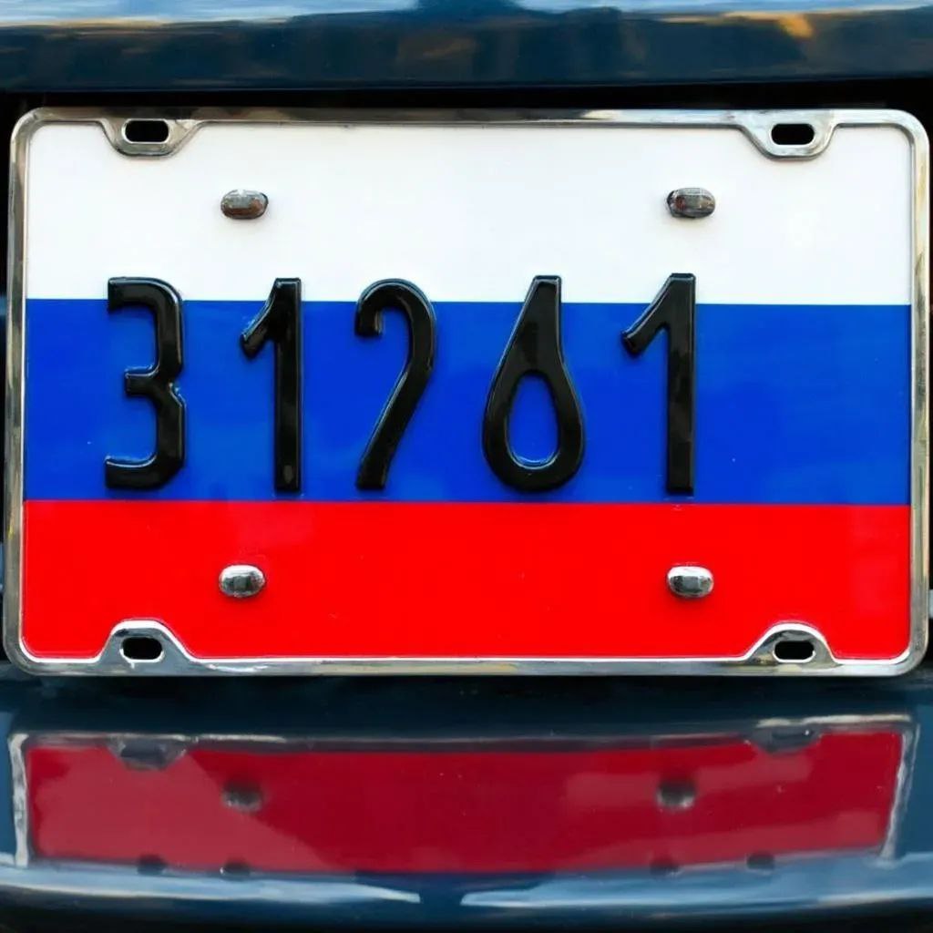 Части россиян грозит штраф за отсутствие триколора на автомобильных номерах – напомнили в МВД