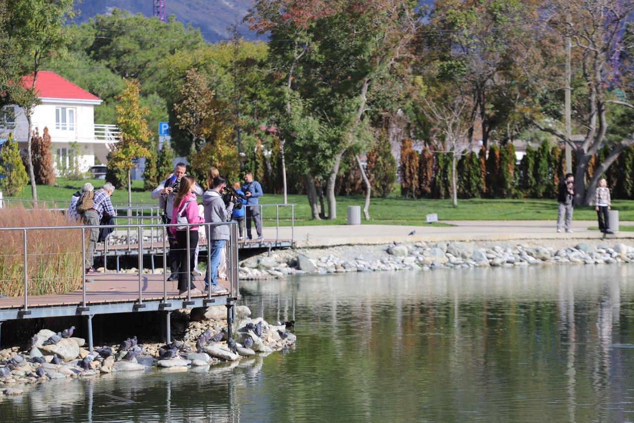 Аэропорт, парк и пикник у моря Аэропорт, парк и пикник у моря