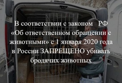В соответствии с законом РФ «Об ответственном обращении с животными» с 1 января 2020 года в России ЗАПРЕЩЕНО убивать бродячих животных