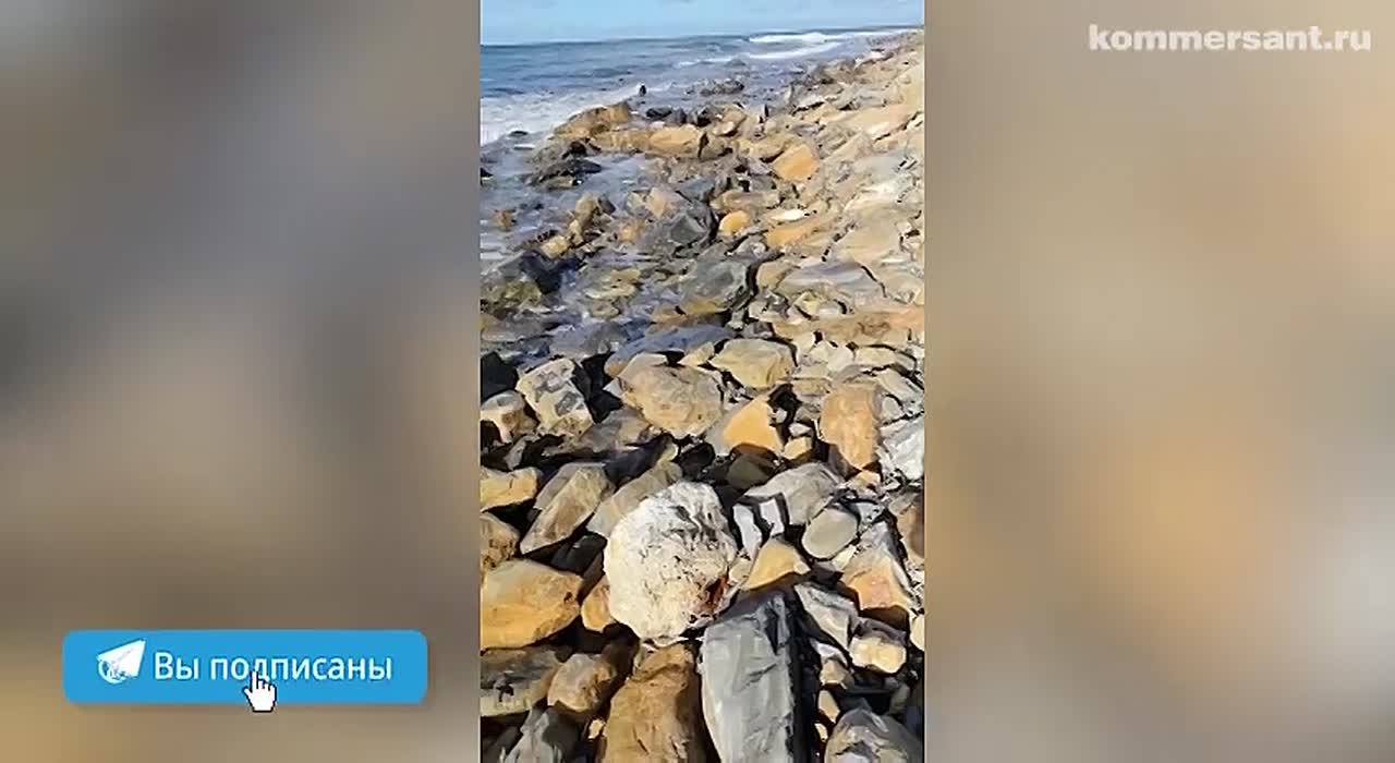 Текущее состояние пляжа «Высокий берег» в Анапе, где ликвидируют точечные выбросы мазута