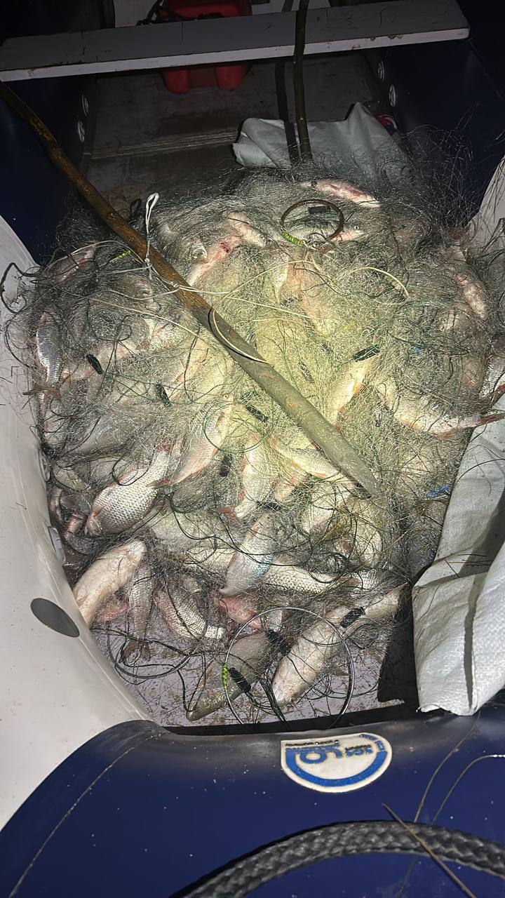 Браконьер из Каневского района заплатил штраф почти 400 тысяч за незаконную рыбалку Браконьер из Каневского района заплатил штраф почти 400 тысяч за незаконную рыбалку