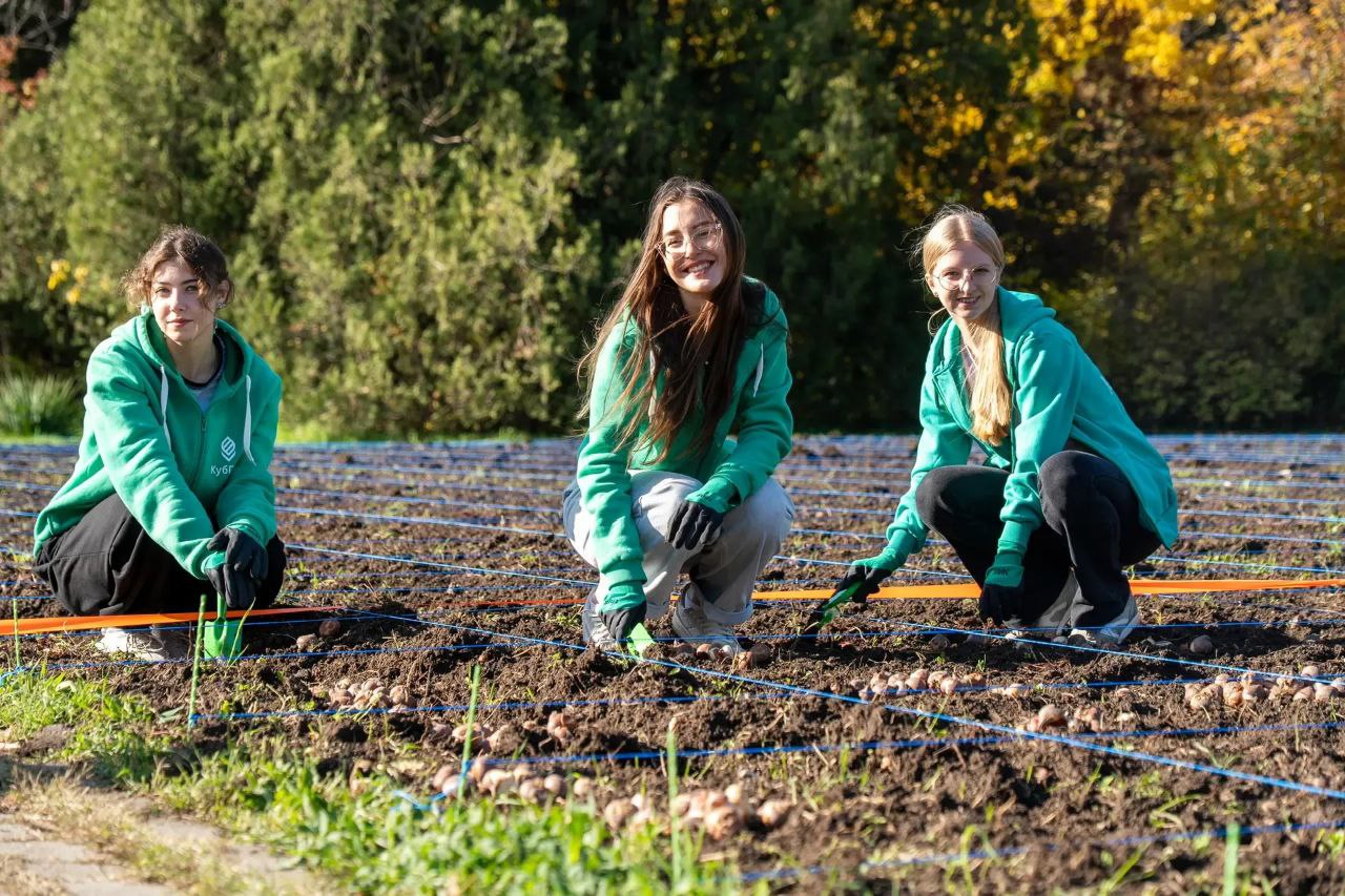 В Ботаническом саду КубГАУ в Краснодаре высадили 150 тысяч луковиц тюльпанов