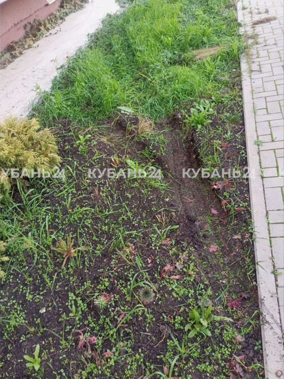 Мужчина припарковался прямо на газоне, чтобы выбросить мусор из окна в Краснодаре Мужчина припарковался прямо на газоне, чтобы выбросить мусор из окна в Краснодаре