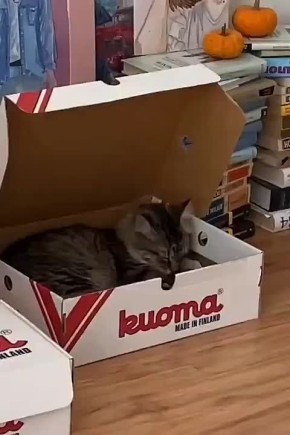 Перерыв на дневной сон